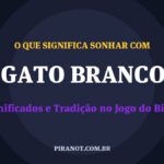 O que significa sonhar com Gato Branco? Significado e tradição popular