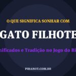 O que significa sonhar com Gato Filhote? Significado e tradição popular