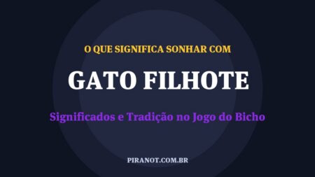 O que significa sonhar com Gato Filhote? Significado e tradição popular