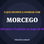 O que significa sonhar com Morcego? Significado e tradição popular