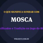 O que significa sonhar com Mosca? Significado e tradição popular