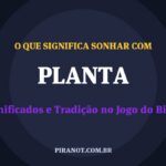 O que significa sonhar com Planta? Significado e tradição popular
