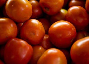 Preço de frutas e hortaliças caiu em setembro, diz Conab