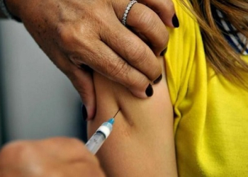 São Paulo confirma 3 mortes por febre amarela no Estado