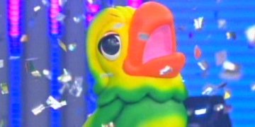 Papagaio deixa programa de Ana Maria Braga e vai para o BBB