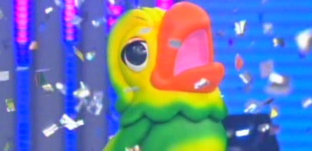 Papagaio deixa programa de Ana Maria Braga e vai para o BBB