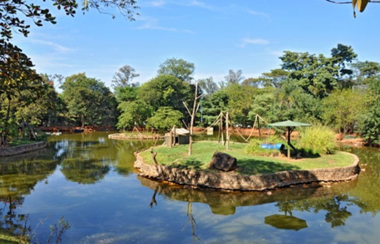 Prefeitura anuncia que vai investir quase R$ 400 mil na reforma do zoológico